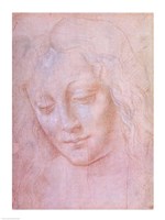 Head of a woman Fine Art Print