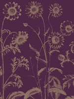 Chrysanthemum 13 Fine Art Print