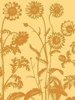 Chrysanthemum 19 Fine Art Print