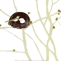 Feathers and Twigs Fine Art Print
