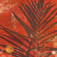 Exotic Palm Fine Art Print