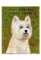 West Highland White Terrier Framed Print