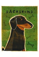 Dachshund (black and tan) Framed Print