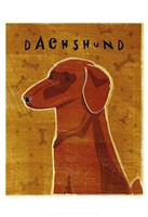 Dachshund (red) Framed Print