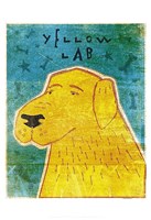 Lab (yellow) Fine Art Print
