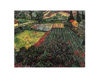 Field of Poppies, Saint-Remy, c. 1889 Fine Art Print