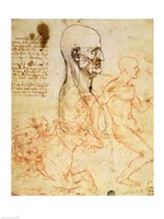 Torso of a Man in Profile, the Head Squared for Proportion Fine Art Print