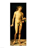 Adam, 1507 Fine Art Print