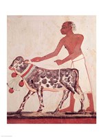 Peasant leading a cow to sacrifice Fine Art Print