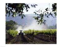 Tractor in a field, Napa Valley, California, USA Framed Print