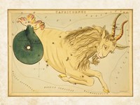 Capricornus Zodiac Sign Framed Print
