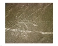 Nazca Lines Dog Framed Print