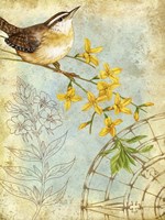 Songbird Sketchbook I Framed Print