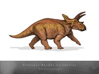 Anchiceratops Framed Print