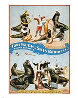 Forepaugh & Sells Brothers Framed Print