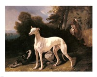 Alfred Dedreux - A Greyhound In An Extensive Landscape Framed Print