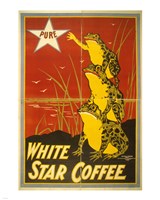White Star Coffee Frogs Framed Print