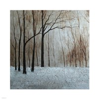 Forest Landscape Framed Print
