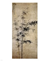 Wang Fu-Ink Bamboo Framed Print