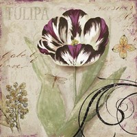 Tulipa II Framed Print
