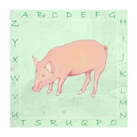 Pig Alphabet Framed Print