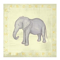 Elephant Alphabet Framed Print