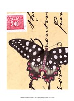 Le Papillon Script IV Fine Art Print