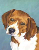 Dog Portrait-Beagle Framed Print