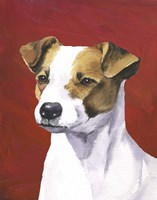 Dog Portrait-Jack Framed Print