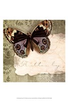 Butterfly Notes IV Fine Art Print