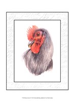 Rooster Insets IV Fine Art Print