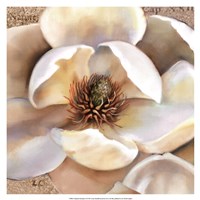 Magnolia Masterpiece II Fine Art Print