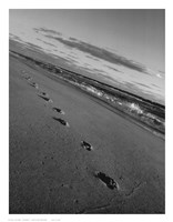 Footprints Framed Print