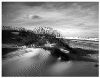 Sand Dunes Framed Print