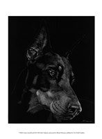Canine Scratchboard III Fine Art Print