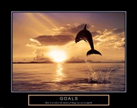 Goals - Dolphins Framed Print