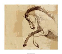 Majestic Horse II Framed Print