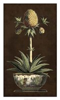 Potted Pineapple I Framed Print