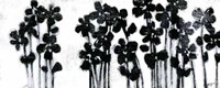 Black Flowers on White I Fine Art Print