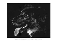 Canine Scratchboard XIV - black Fine Art Print