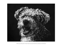 Canine Scratchboard XXV Fine Art Print