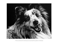 Canine Scratchboard XXVI Fine Art Print