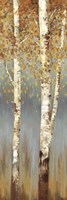 Butterscotch Birch Trees II Fine Art Print