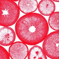 Red Lemon Slices Framed Print
