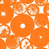 Orange Lemon Slices Framed Print