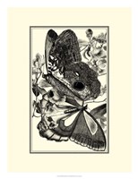 B&W Butterfly IV Fine Art Print
