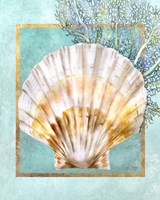 Scallop Shell and Coral Framed Print