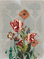 Summer Flowers II Fine Art Print