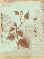 Botanical I Fine Art Print