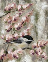 Cherry Blossom Bird I Framed Print